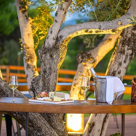 奥林匹亚阿斯第酒店 4*