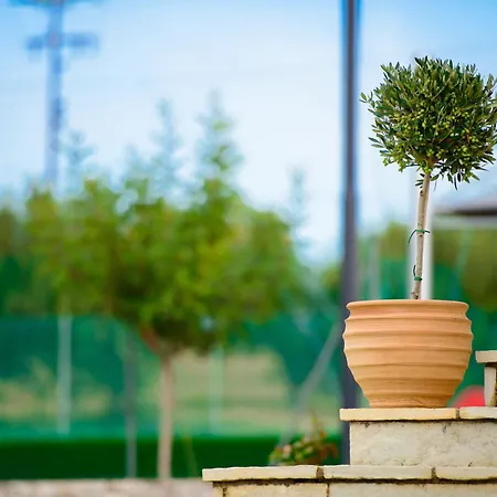 奥林匹亚阿斯第酒店 酒店