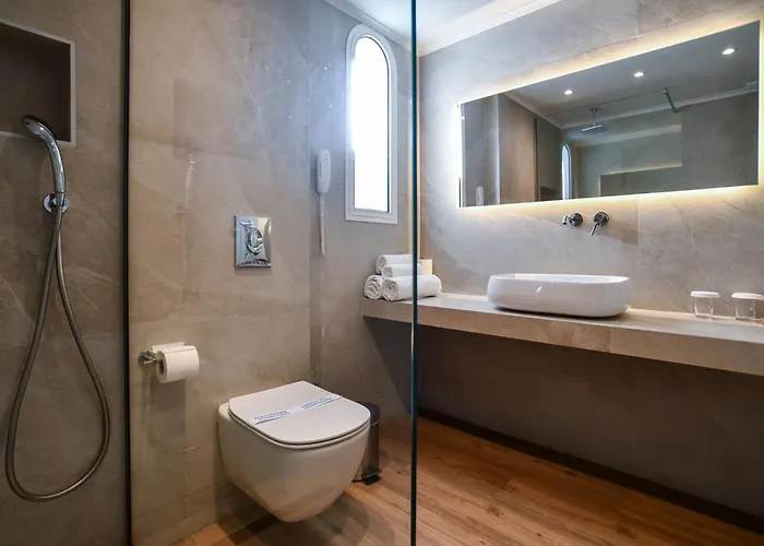 Hotel Olympion Asty 4*