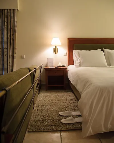 Hotel Olympion Asty 4*